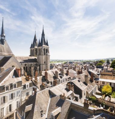 La ville de Blois vue depuis les toits