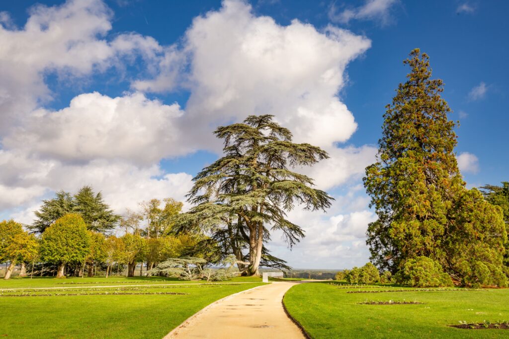 Parc de l’Arrou à Blois