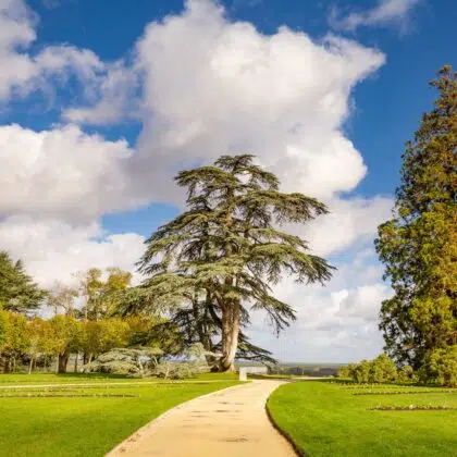 Parc de l’Arrou à Blois